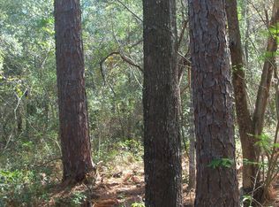 7063 Sewanee St, Keystone Heights, FL 32656