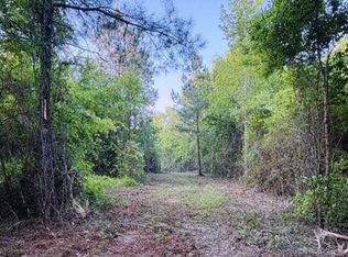 0 Darron Hodge Ln, Poplarville, MS 39470