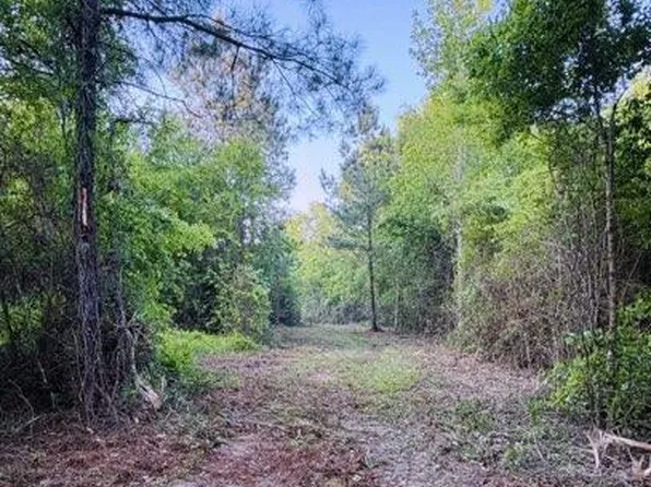 0 Darron Hodge Ln, Poplarville, MS 39470