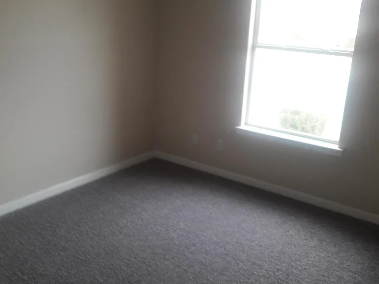 517 Belvidere St #B — Photo 7