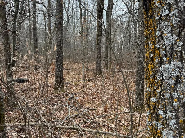 X Old Sangren Rd, Willow River, MN 55795