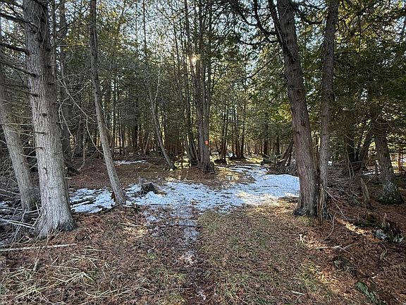 5th image of N Somers Rd