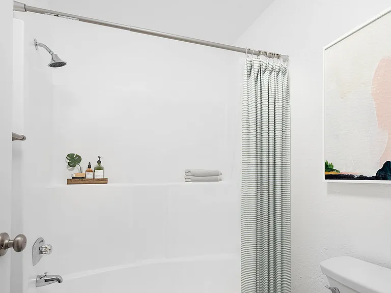 Bathroom (Deluxe Renovated Home)