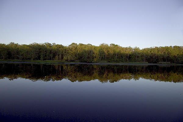 1st image of 7707 Cattail Marsh Ln
