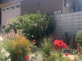 1677 N Lake Ave, Pasadena, CA