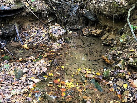 2nd image of 0 Nubbin Ridge Rd