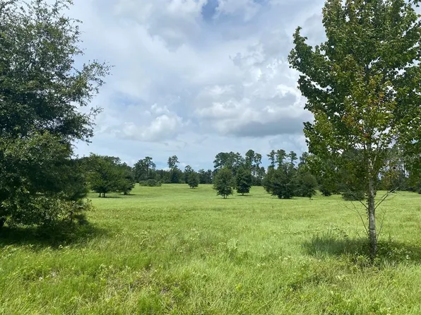 NW 160th Ave, Williston, FL 32696