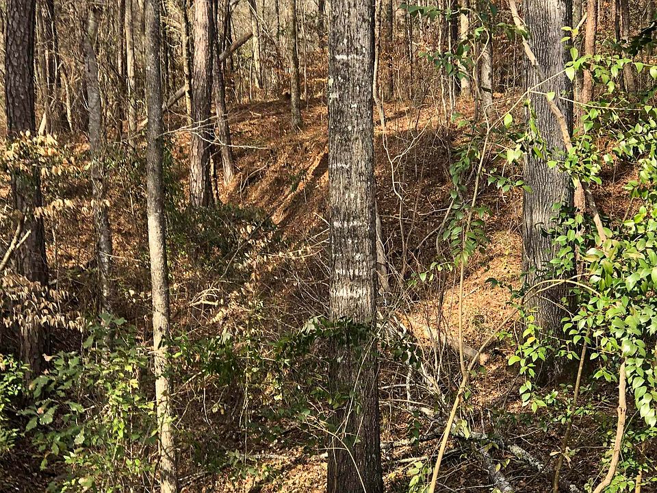 438 Lake Laurel Rd NE, Milledgeville, GA 31061 MLS 20060555 Zillow