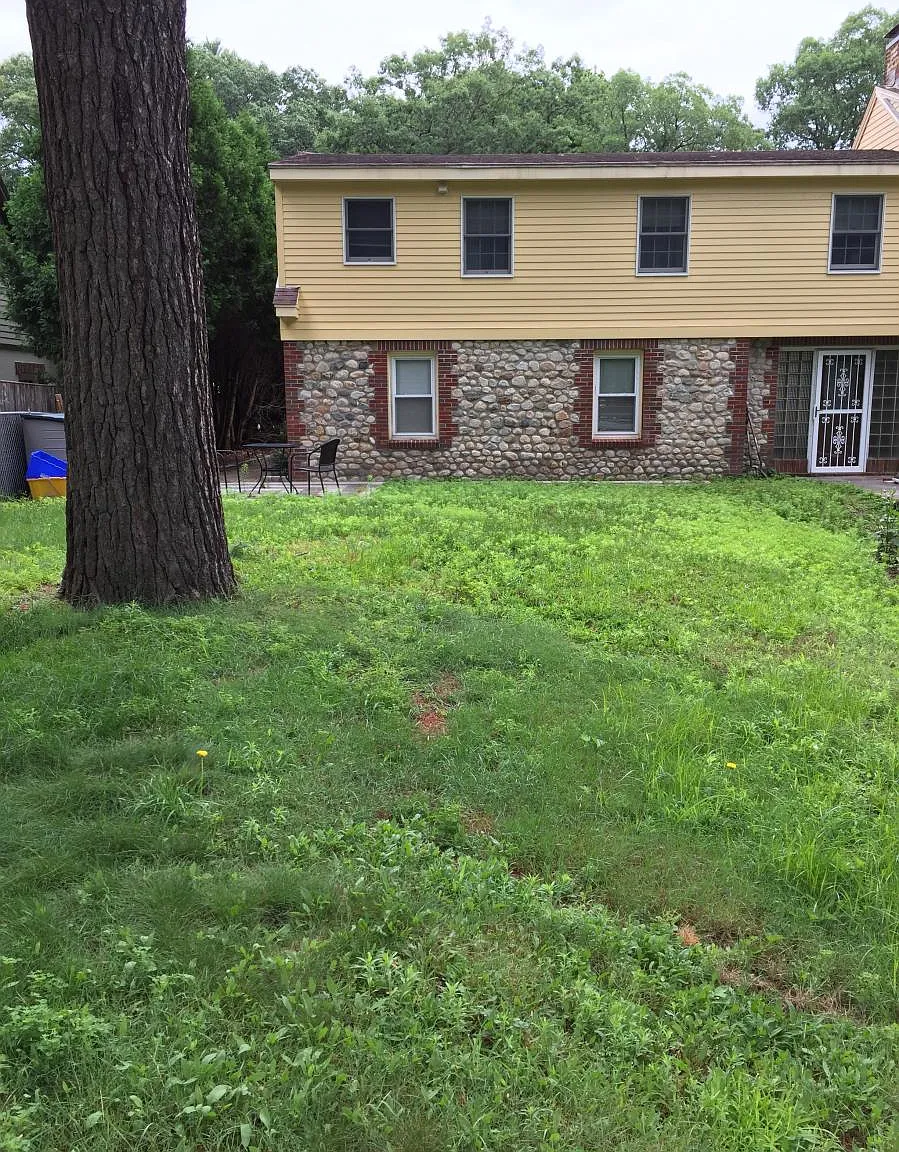 2 bed, 1.5 bath, 1000 sqft, $3,000 — Photo 3