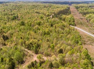 Rue Hammer Rd, Cedar grove, TN 38321