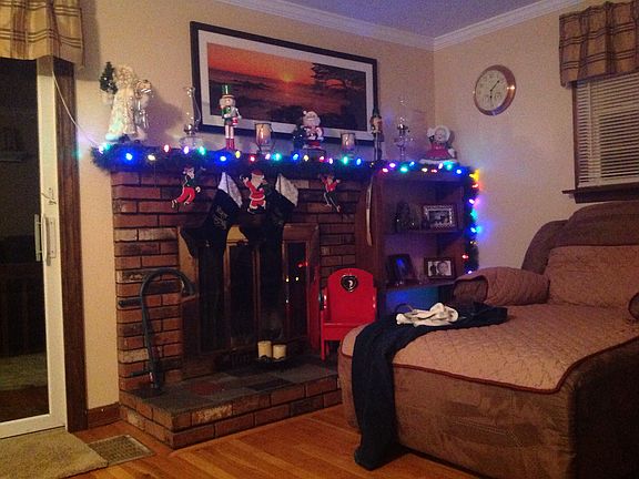 Living room fireplace/bookca