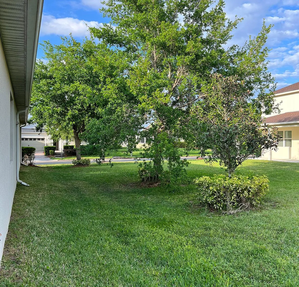 4 bed, 1994 sqft, $3,600 — Photo 4