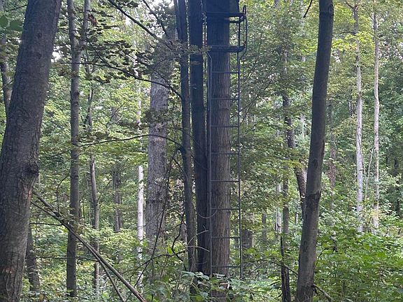 3rd image of 11500 Goose Lake Rd