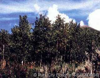 1st image of 122 Aspen Mountain