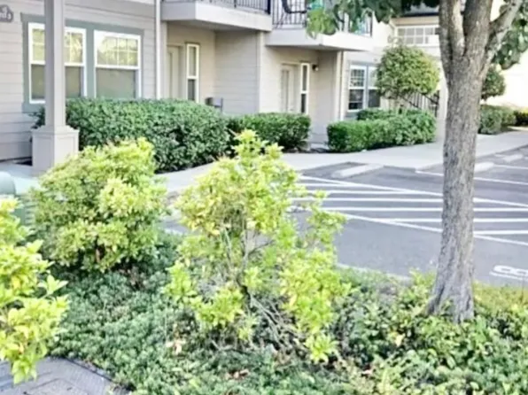 Chestnut Ridge, 719 11th Ave SE #6da99bac1, Olympia, WA 98501