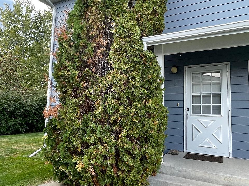 1st image of 111 Pondera Ave #D