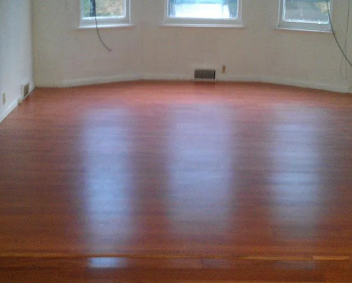 Living room and dinning room