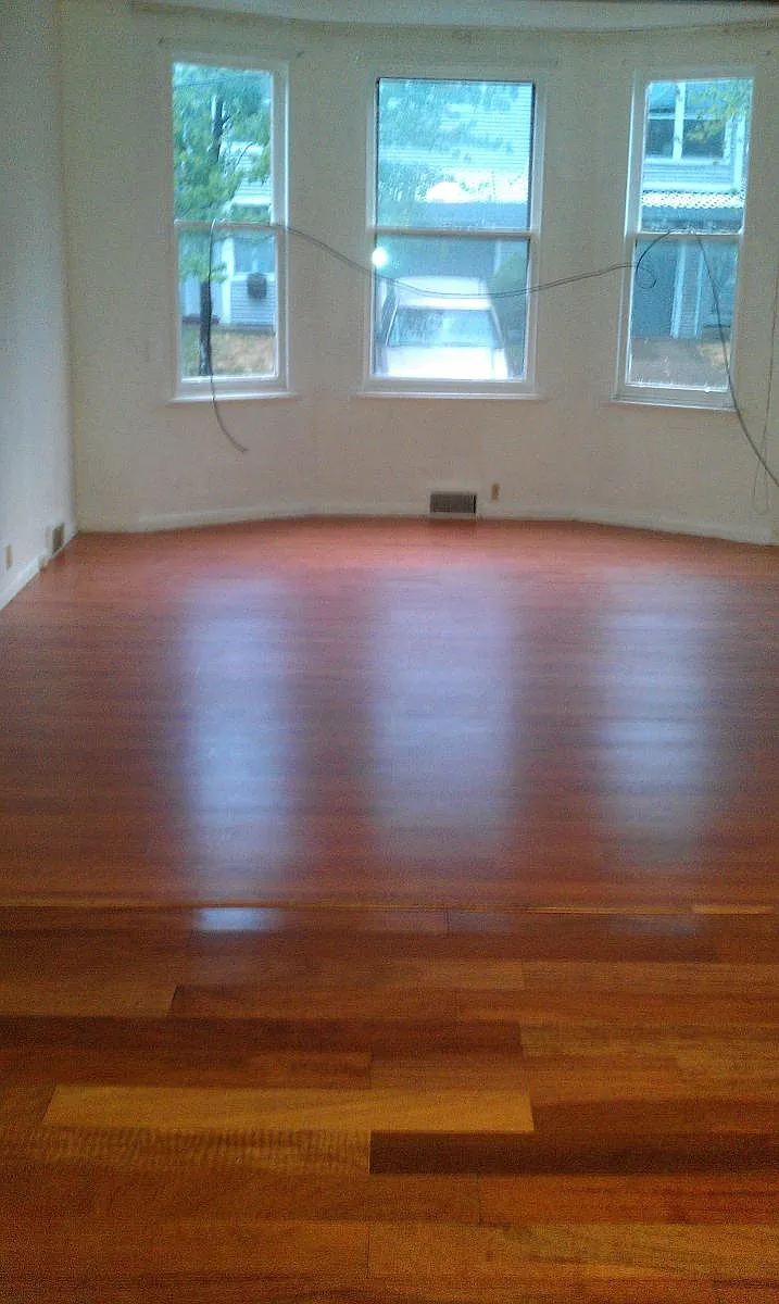 Living room and dinning room - 411 Noble St