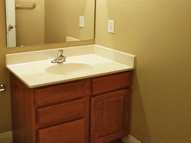 4402 Coveflower Ct — Photo 11