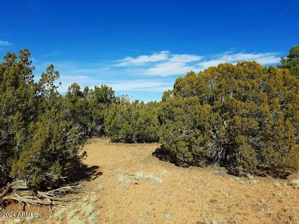 4 parcels N Shady Oak 404-69-005 /10+acres -- #D, Show Low, AZ 85901