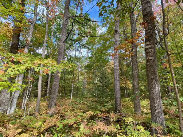 LOT 6&7 N Old 27, Frederic, MI 49733