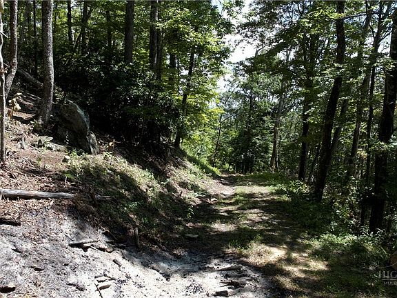 2nd image of TBD Nettles Knob