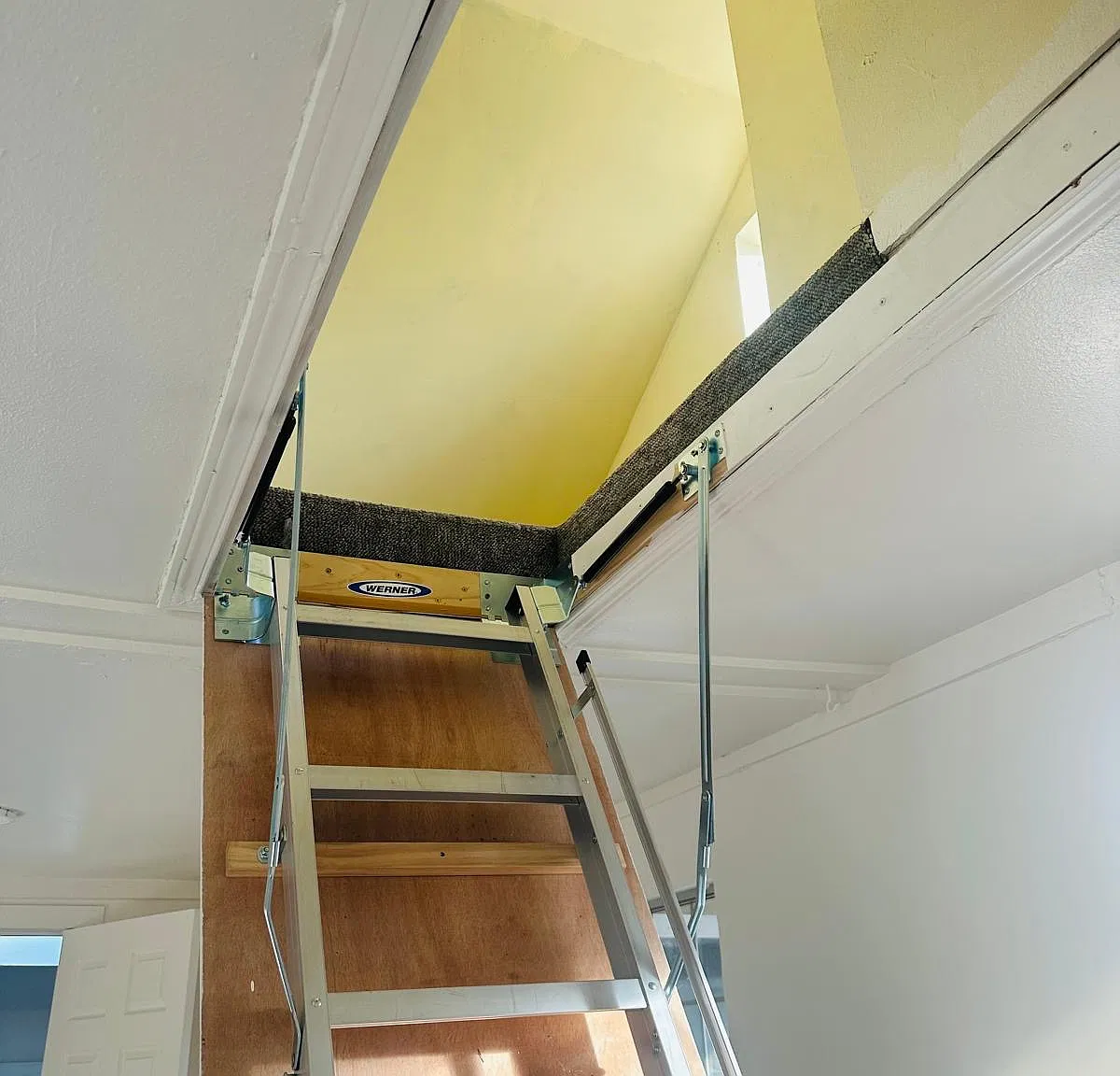 1 bed, 800 sqft, $1,600 — Photo 3