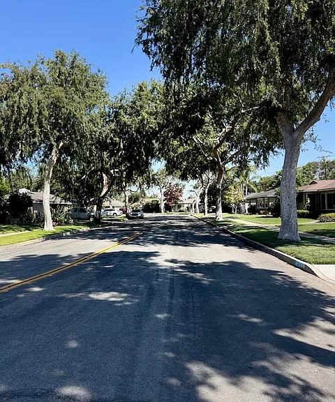 401 W Jonquil Rd — Photo 4