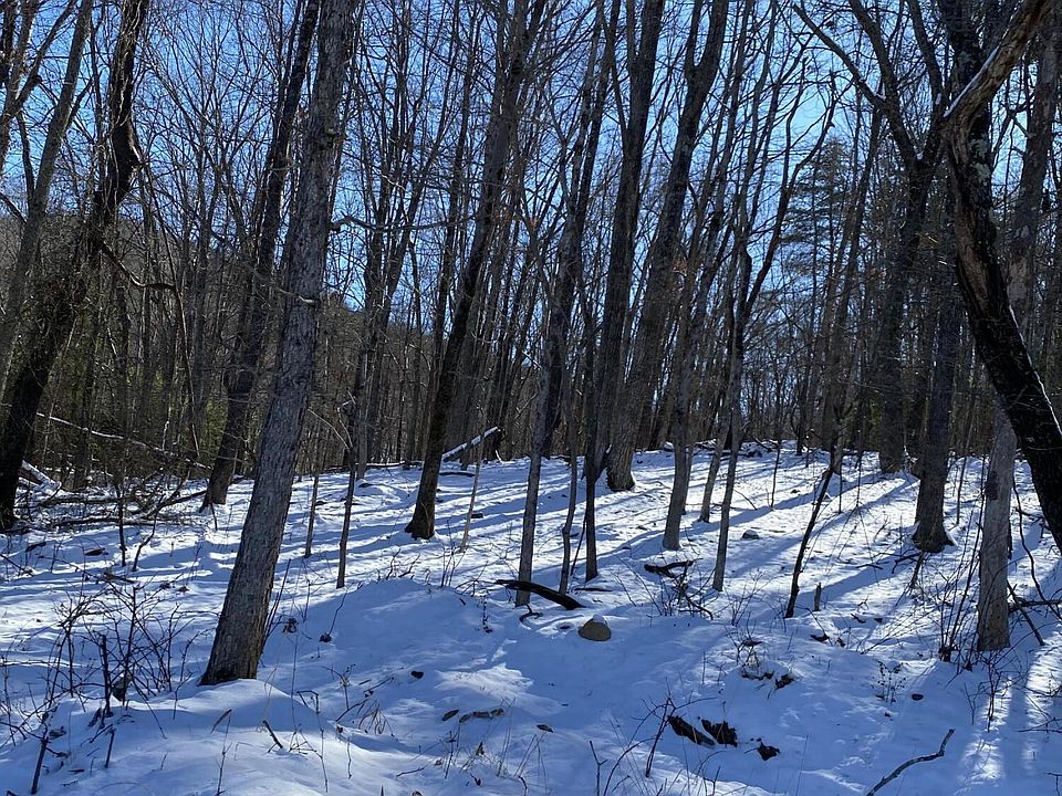 2nd image of 8754 Salt Pond Rd