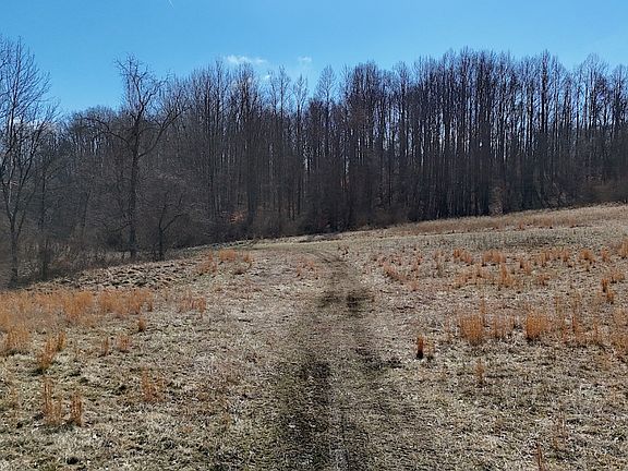 5th image of 37000 Vance Rd