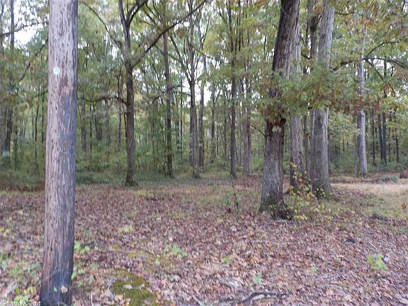 3rd image of 118 Dolly Ln