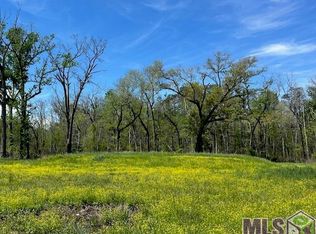 13023 Bluff Rd, Geismar, LA 70734