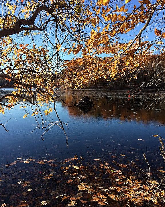 173 Great Hill Pond, Portland, CT 06480 | Zillow