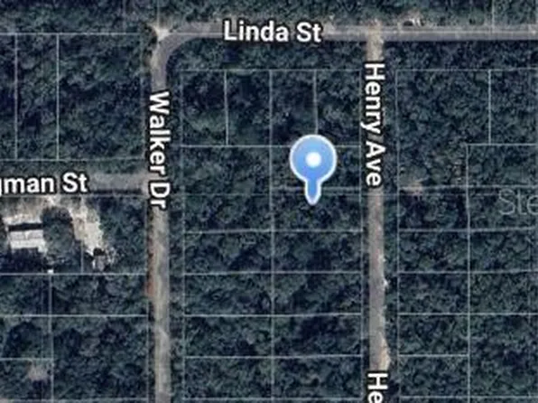 Henry Avenue Lot #32, Interlachen, FL 32148