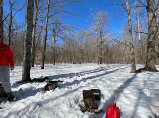 9357 W Cameron Bridge Rd, Frederic, MI 49733