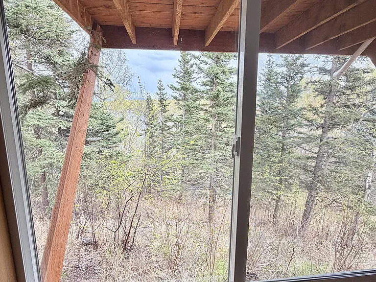 Downstairs window