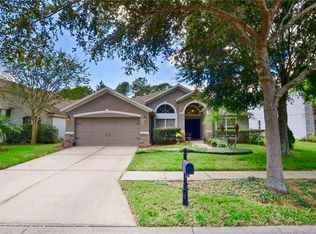 19208 Cinnamon Ridge Way, Tampa, FL 33647