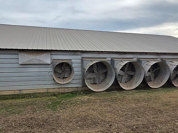 3rd image of 5516 Orchid Rd