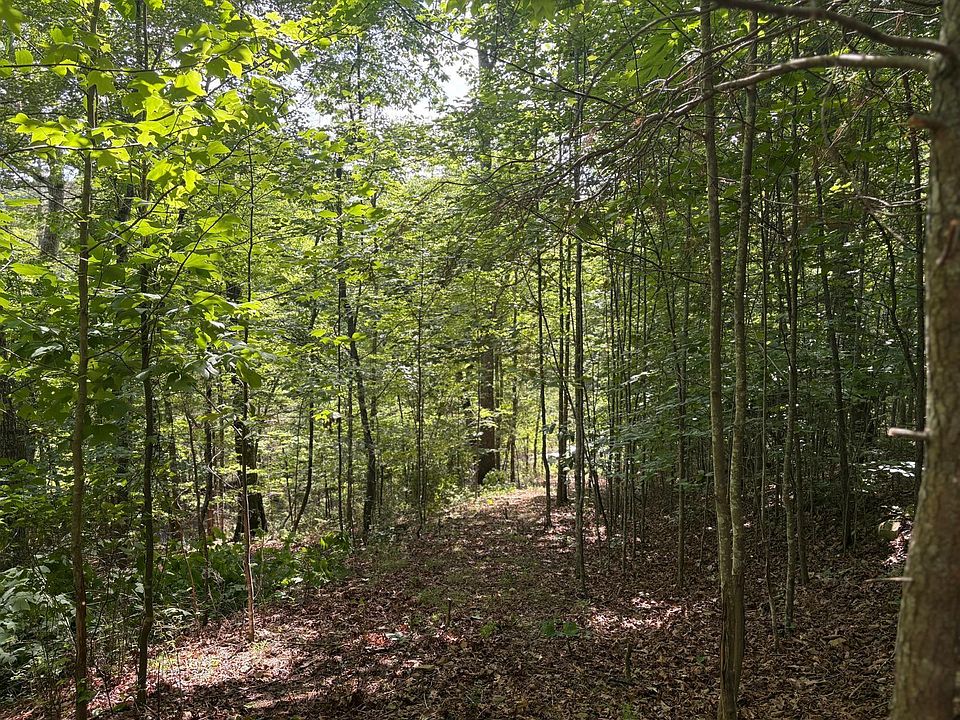 1st image of 202 Deep Woods Dr