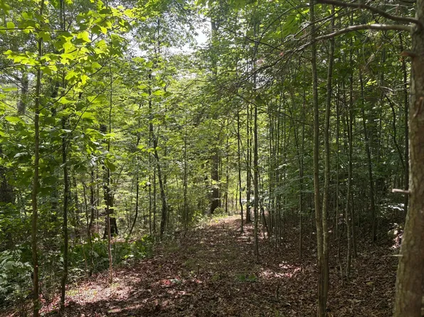 202 Deep Woods Dr, Dunlap, TN 37327