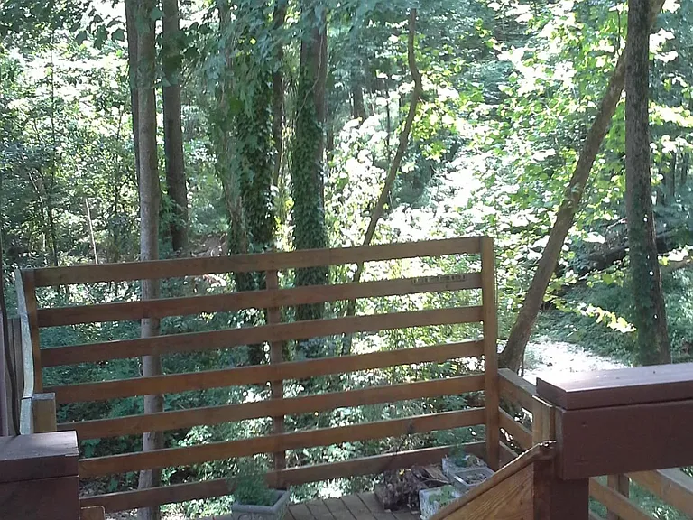 3819 Fort Hill Dr — Photo 56