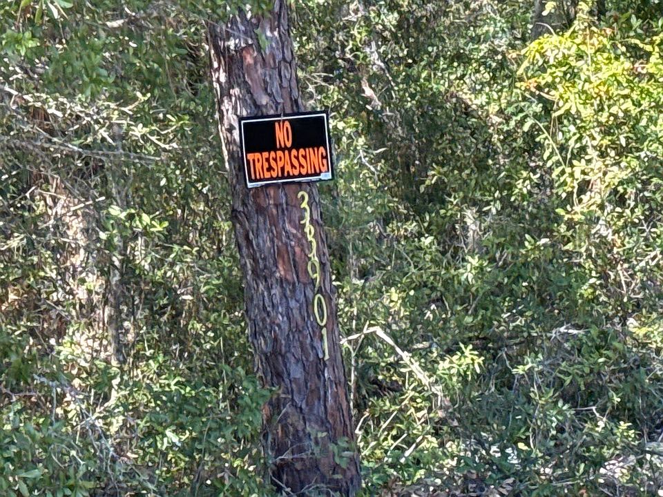 1st image of 33901 County Road 468
