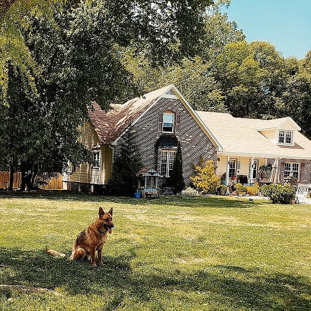 1st image of 1012 Butler Branch Rd S