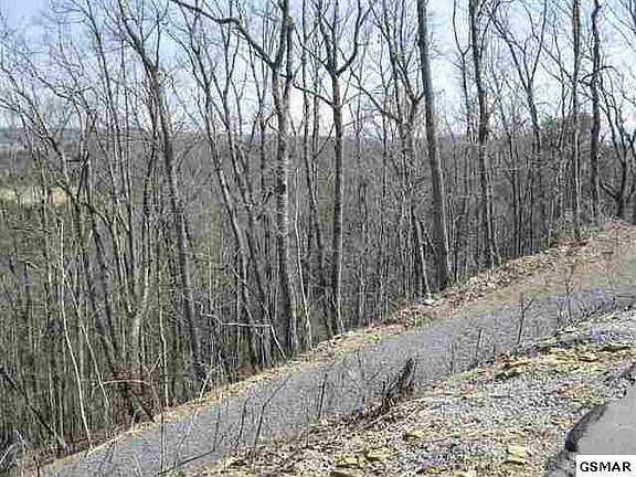 5th image of 0 Monte Vis Lot 49