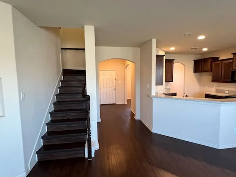 3729 Caladium Ln — Photo 15