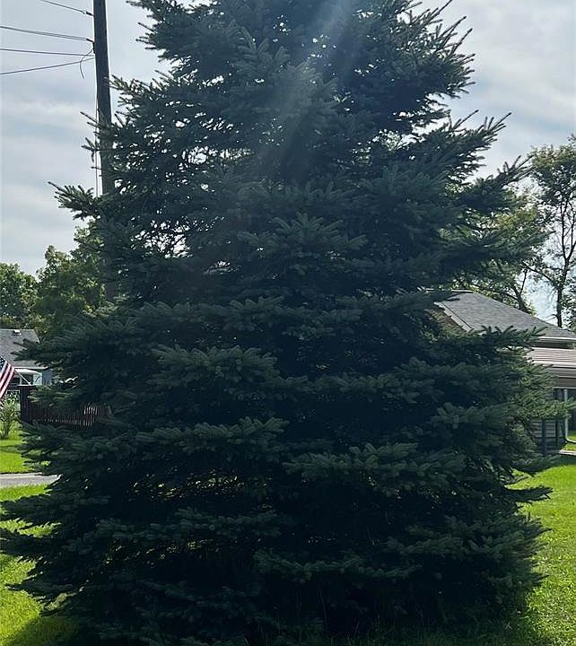 2nd image of 3342 Leta Ave