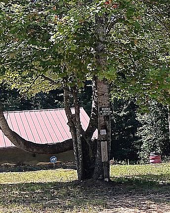 5th image of 1019 Colony Rd