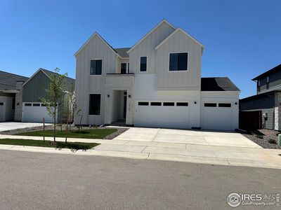 1714 Branching Canopy Dr, Windsor, CO, 80550