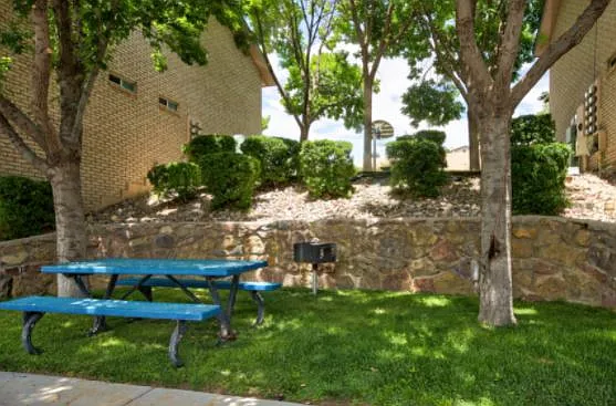 Willow Brook — Photo 11