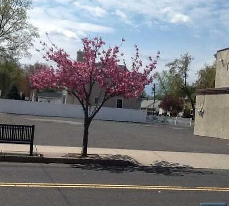 2nd image of 244 Main St